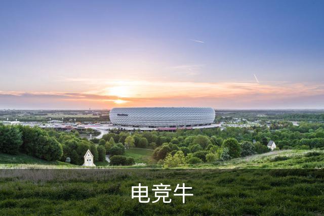 电竞牛公司介绍展示图